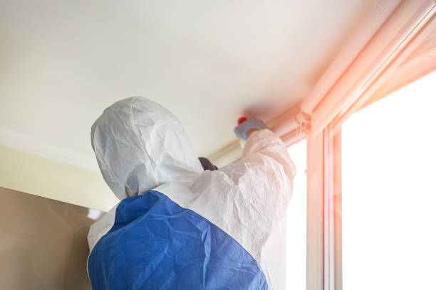 Mold Remediation for Vacation Homes in Johnson, AR